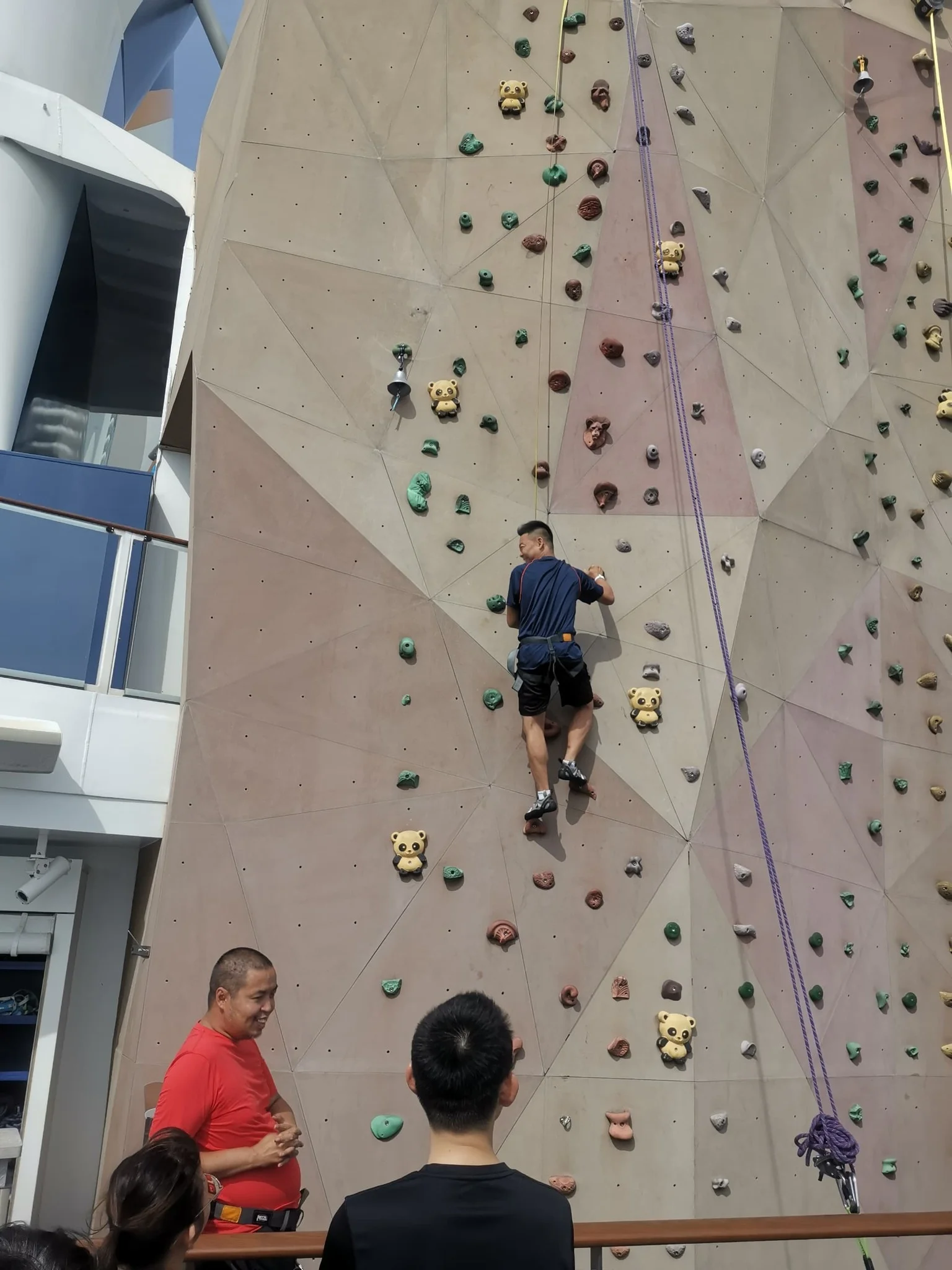 Photo 7 from 2023 Terra Trip Royal Caribbean