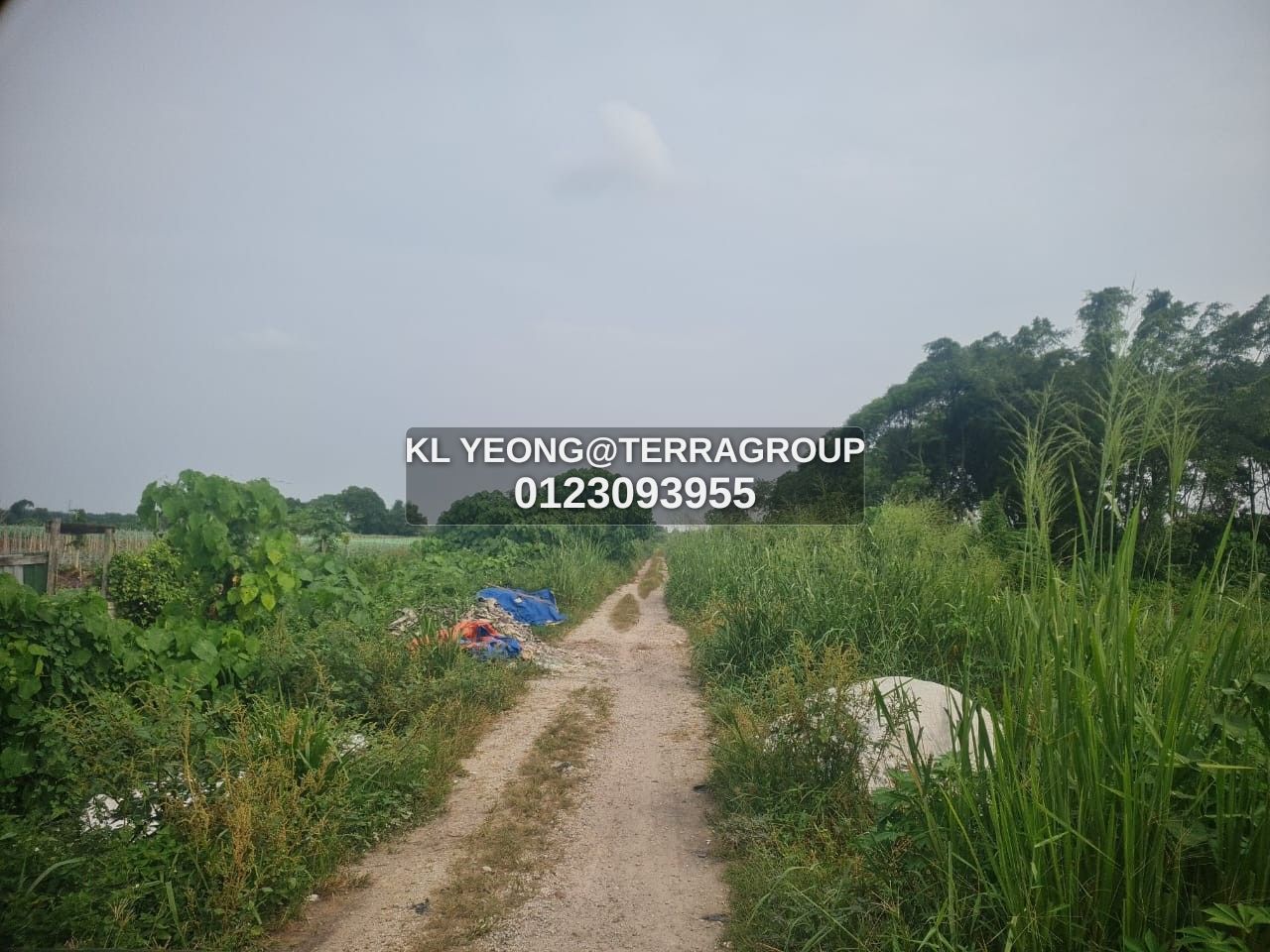 Johan Setia zoned commercial for sale image 2